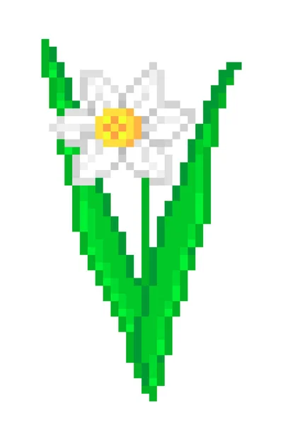 Beyaz Narsisli Çiçek Beyaz Arkaplanda Izole Edilmiş Pikselli Resim Simgesi — Stok Vektör