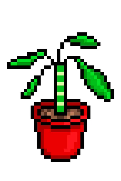 Euphorbia Lophogona Spurge Dans Pot Rouge Icône Pixel Art Isolé — Image vectorielle