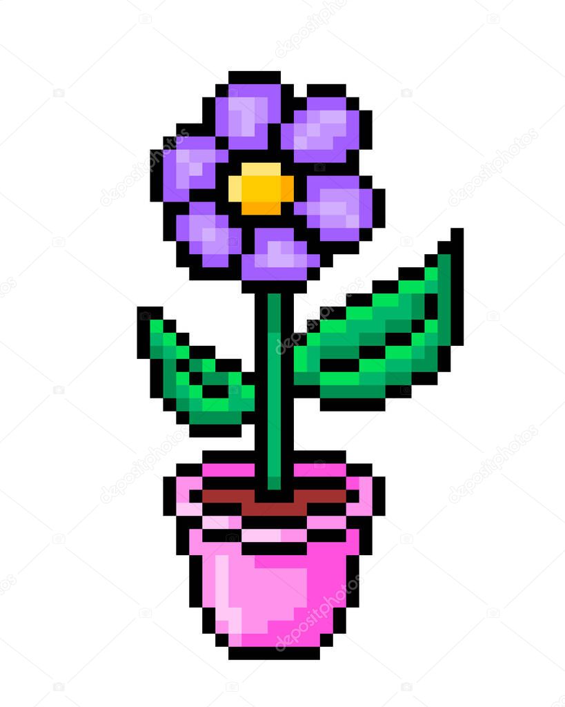 Blooming violet flower in a pink pot, pixel art icon isolated on white background. 8 bit decorative plant symbol. Old school vintage retro slot machine/video game graphics.