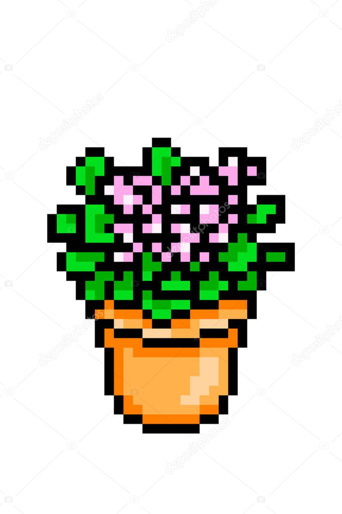 Flowering pink Kalanchoe in a pot, pixel art icon isolated on white background. 8 bit decorative houseplant. Home/office interior element. Old school vintage retro slot machine/video game graphics.