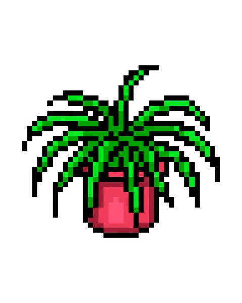 Chlorophytum Planta Aranha Pote Ícone Arte Pixel Isolado Fundo Branco — Vetor de Stock