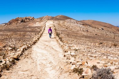 Gezgin Titicaca Gölü 'nde ufuk çizgisine doğru yürüyor.
