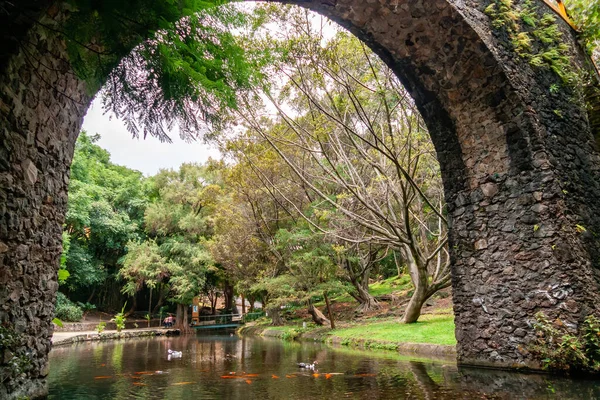 Köprüsü olan park, Meksika parkında ördekler ve balıklar ile nehri çerçeveledi.