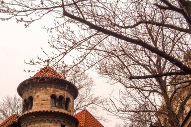 Prag, Çek Cumhuriyeti, 4 Ocak 2018: Prag parkındaki ağaç dallarıyla çevrili kale çatısı