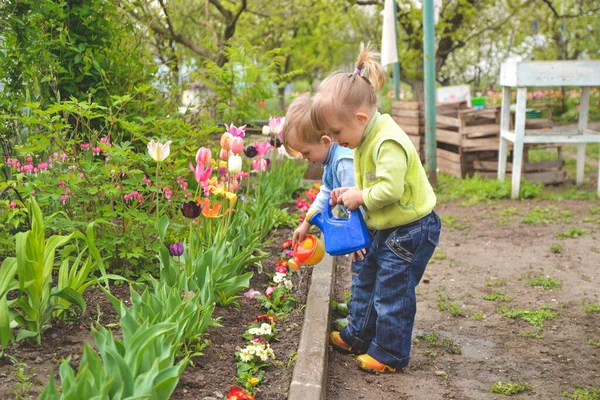 Brother and sister twins are helping in the garden with flowers in spring season. Girl keeping watering can and boy showing place for water. Happiness of childhood with work process.