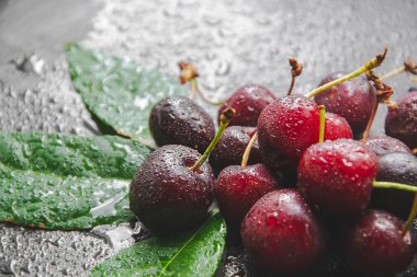 Üzerinde su damlaları ve siyah arka planda yeşil yapraklar olan kirazların yakın plan resmini çek. Sol tarafında boş afro yazı olan doğal yaz duvar kâğıdı. Sağlıklı meyve kavramı.
