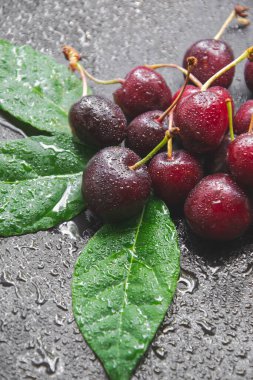 Kırmızı kirazların su damlaları ve yeşil yapraklarla yakın plan fotoğrafı siyah zemin üzerinde duruyor. Yaz sağlıklı yemekleri. Bahçedeki doğal meyvelerle uzay kavramını kopyala.