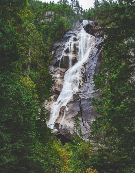 Cachoeira Alta Floresta Verde Pinhais Lado Córrego Água Caíram Meio — Fotografia de Stock