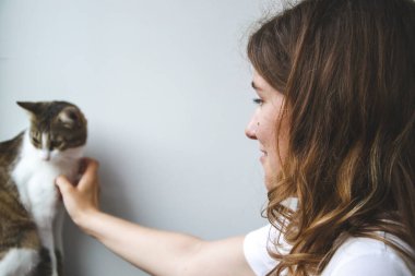 Evcil hayvan sevdalısı kedi