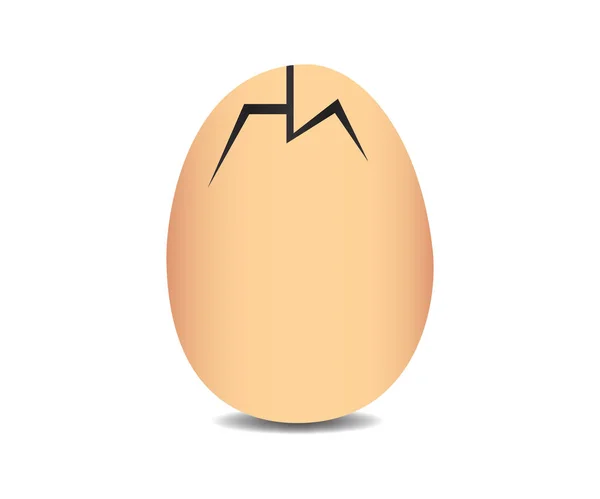 現実的な探しているひびの入った卵 — ストックベクタ