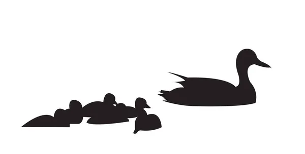 Duck Ducklings Swimming Silhouette — Stock Vector