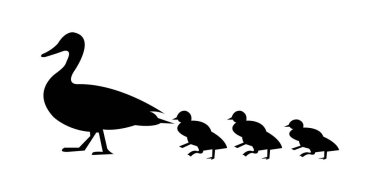 Ördek ile onun ördek yavrusu yürüyüş