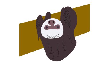 Tembel baş aşağı asılı bir ağaç gövdesi--dan gülümseyen