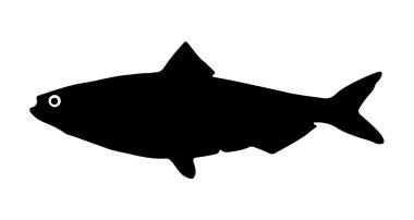 beyaz siyah balık silueti