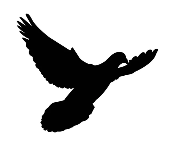 Pigeon Flying Black Silhouette White — Stock Vector