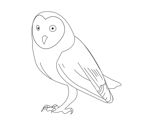 Owl Line Art Vit — Stock vektor