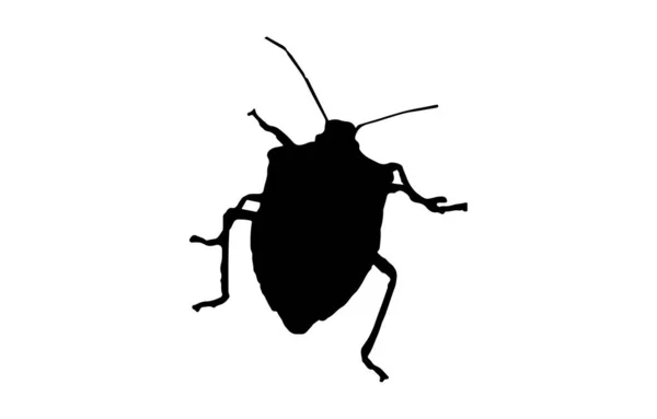 Schwarzes Bug Symbol Auf Weiß — Stockvektor