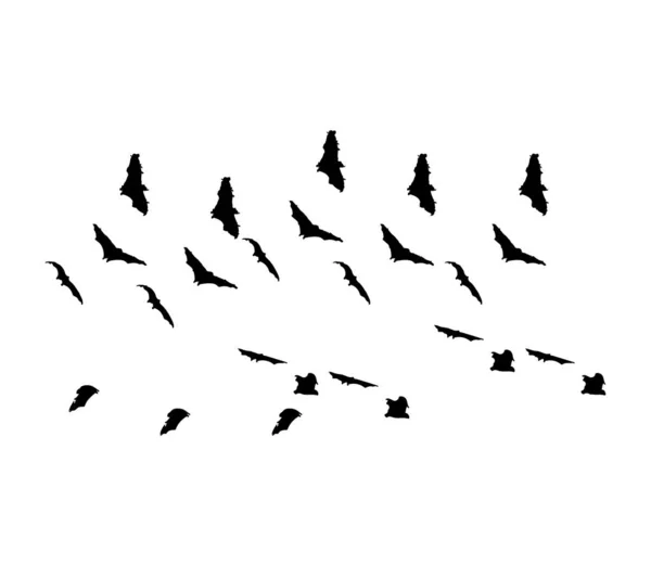 Morcegos Voando Branco — Vetor de Stock