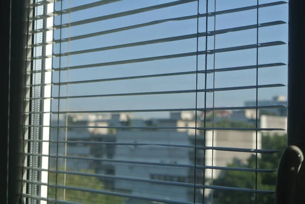 Office window with blinds