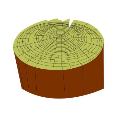 beyaz ağaç gövdesi