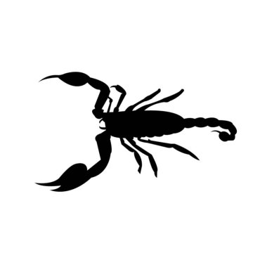 beyaz akrep işareti