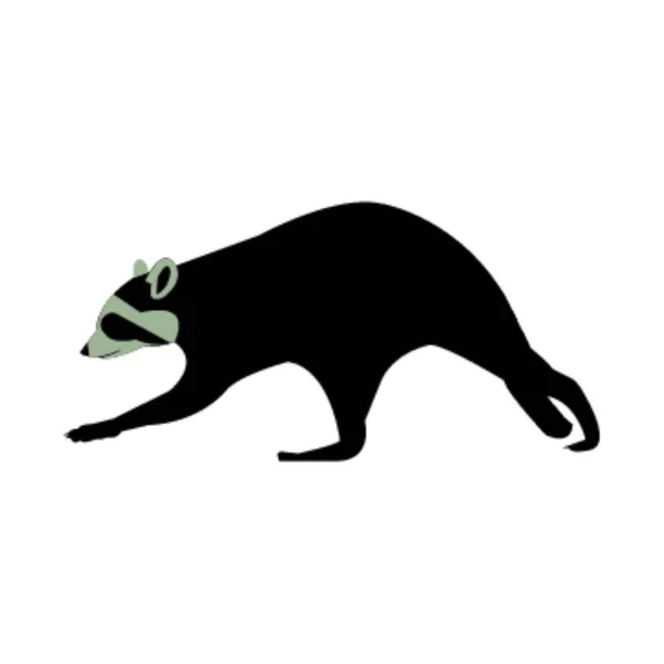 Racoon Fundo Branco — Vetor de Stock