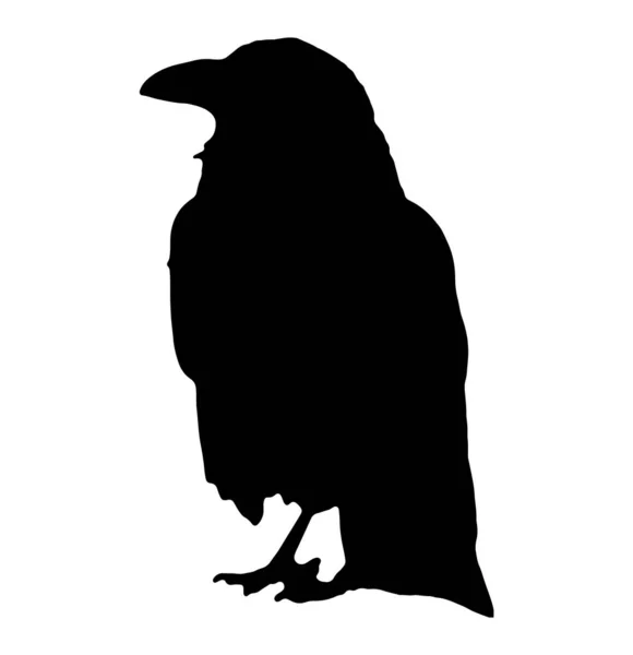 Corbeau Corbeau Silhouette Sur Blanc — Image vectorielle