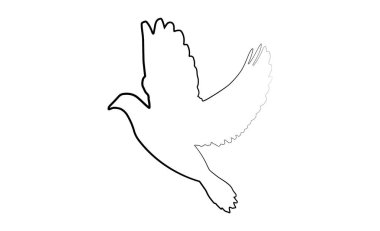 Barış ikonu güvercini izole edildi