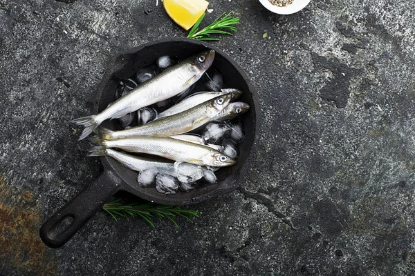 Poisson Mer Frais Sardines Prêt Cuire Avec Citron Thym Romarin — Photo