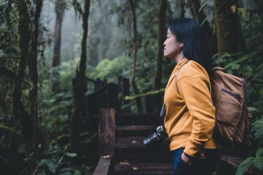 Asya backpacker yağmur ormanı varlıklarını trail.ba görünümünde bakarak