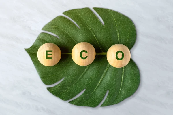 Zéró hulladék és műanyagmentes concept.eco szó fa blokk — Stock Fotó