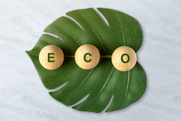 Zero rifiuti e plastica libera concept.eco parola sul blocco di legno con — Foto Stock