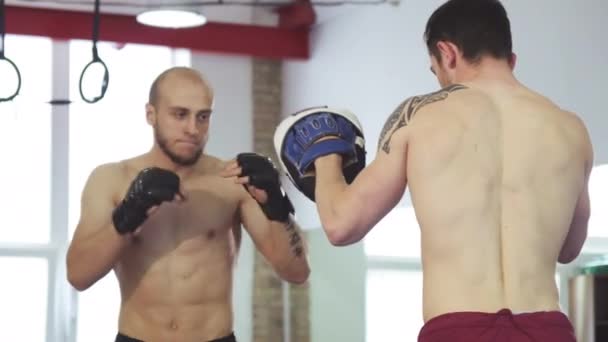 Joven entrenando habilidades de boxeo con su compañero de combate — Vídeos de Stock