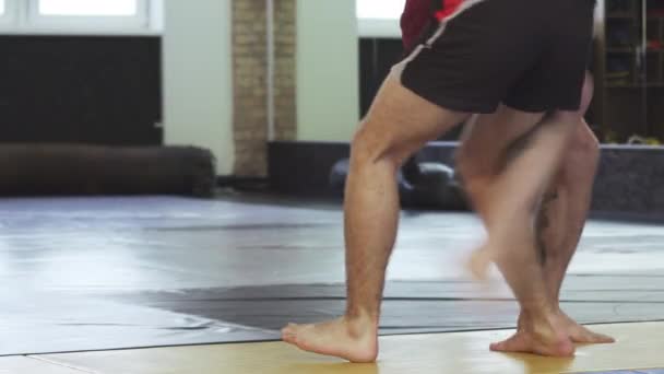 Lekkoatletka lekkoatletycznego mma fighter robi armlock, podczas gdy zmagają się w siłowni — Wideo stockowe