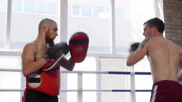 英俊的无上装的拳击训练与他的教练在健身房 — 图库视频影像