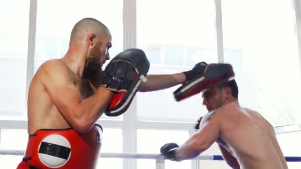 Dois lutadores mma masculinos treinando sem camisa no ginásio — Vídeo de Stock