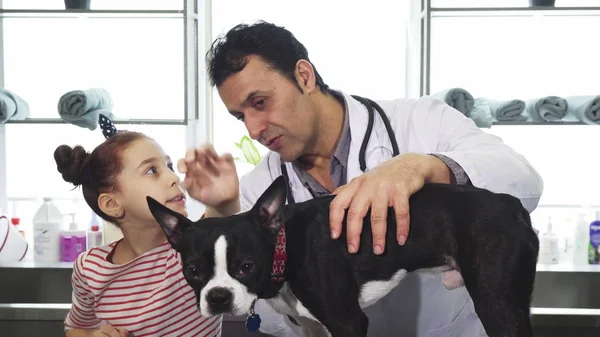 Professional mature vet examining dog of a little girl at the clinic