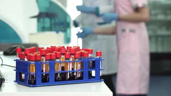 Test tubes with blood samples at the medical laboratory — Stock Photo, Image