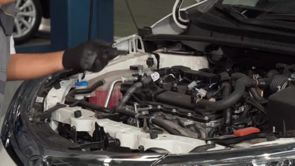 Professionella mekaniker kontrollera oljenivån och motorn i en bil — Stockvideo
