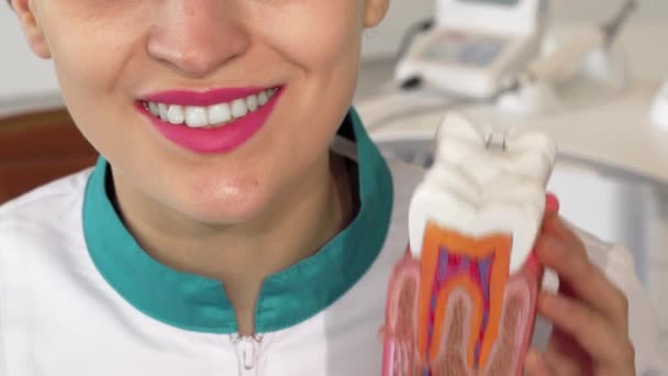 Dentista feminino sorrindo segurando modelo de dente para a câmera — Vídeo de Stock