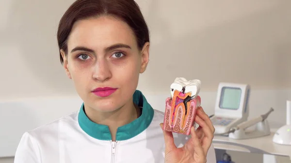 Dentista mujer buscando decepcionado, sosteniendo diente de plástico con caries — Foto de Stock