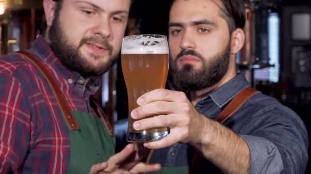 Cerveceros profesionales examinando deliciosa cerveza artesanal en un vaso — Vídeos de Stock