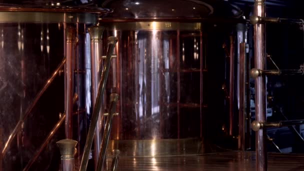 Cheerful professional brewer smiling, holding two beer glasses at his brewery — Stock Video