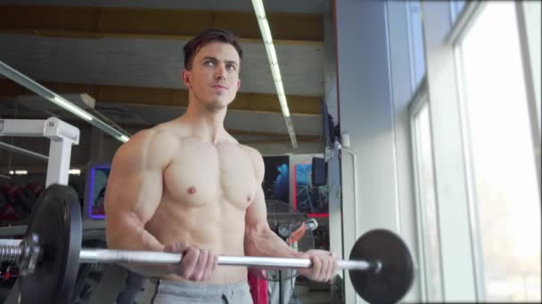 Ripped shirtless jovem fisiculturista levantando barbell, fazendo exercício bíceps — Vídeo de Stock