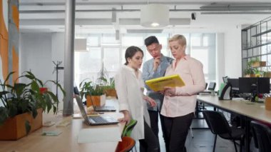 İş adamlarının belgeleri birlikte incelenmesi, iç mekanlarda çalışma