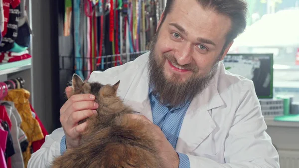 Veterinario alegre sonriendo alegremente, acariciando gato adorable en su clínica — Foto de Stock