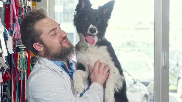 Alegre barbudo veterinario acariciando perro adorable en su clínica — Foto de Stock