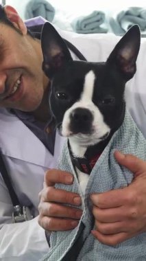 Bu yakın plan, yumuşak, dokulu bir havluya sarılı neşeli bir Boston Terrier köpeğini gösteriyor. Şefkatli bir erkek veteriner onu ferahlatıcı bir banyodan sonra nazikçe kurutuyor. Görüntü sıcaklığı ve sevgiyi yansıtıyor. Sevgiyi güzel bir şekilde gösteriyor.