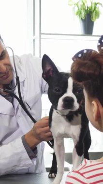 A dedicated male veterinarian gently examines an adorable Boston Terrier puppy while a curious little girl watches intently, her eyes filled with affection. This touching moment highlights the nurturing bond between young pet owners and their furry