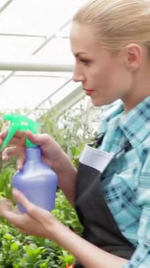 Şık önlüklü, odaklanmış beyaz bir kadın sulu, canlı bitkilere nazikçe su püskürterek bahçe merkezine hayat ve tazelik aşılıyor. Yeşillik yetiştirme tutkusu onu çevreleyen renkli çiçeklerle birlikte göz kamaştırıcı bir vaha yaratıyor.